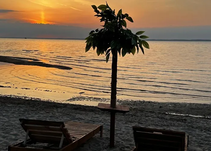 Przy Plazy * Suchacz